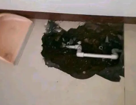 洪湖卫生间测漏水多少钱